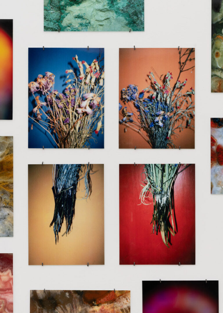 Sophia-Yoma-Vanhala_flowers_foto